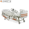 Two Function High Quality and Inexpensive Electric Hospital Bed ALK06-B05P-B Metal 2 Functions Anti-rust 1 Year,1 Year One Pcs