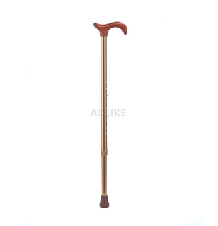 Aluminum lightweight Walking stick ALK549L