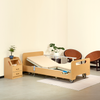 Three Fuction Electric Home Care Bed ALK-BM301HZM(A)