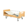 Two Fuction Electric Home Care Bed ALK-BM201HZM(A)