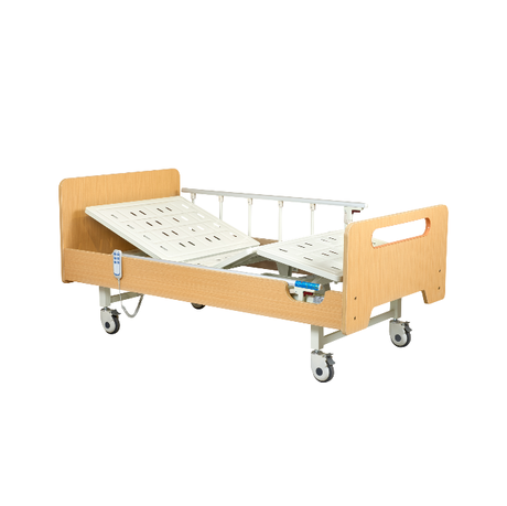 Two Fuction Electric Home Care Bed ALK-BM201HZM(A)